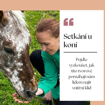 Setkání u koní 2026