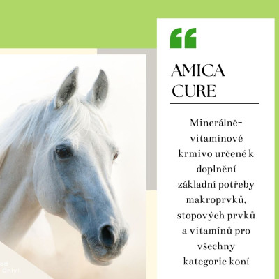 Amica Cure