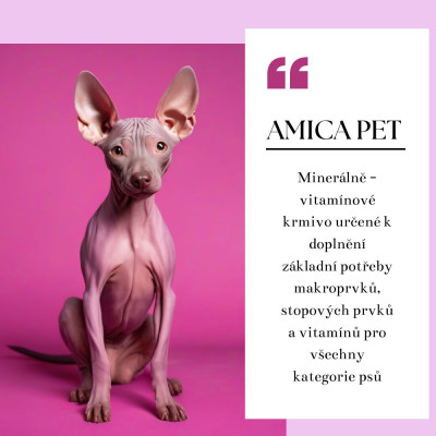 Kompletní doplněk pro psy Amica Pet